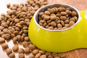 Dry dog's cat's food in steel green bowl on wooden floor